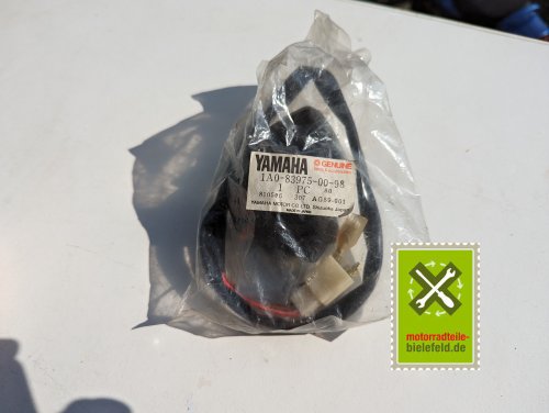 PXL_20240523_151251220